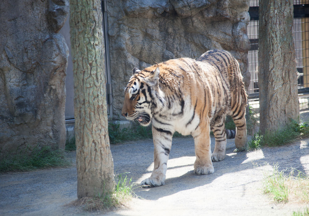 動物園